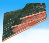 XPE Foil Heat Insulation