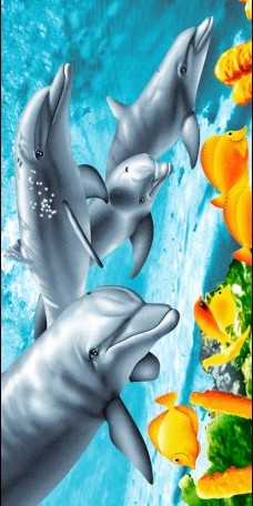 velvet beach towel 