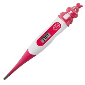digital thermometer 