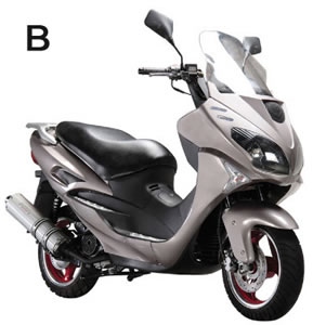 Grizzy YY50QT-19B (2 STROKE/4STROKE)
