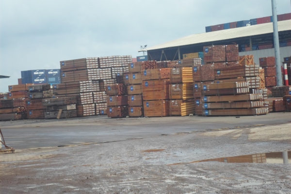 Tropical timber in logs and sawn timber