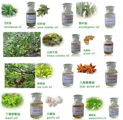 Essential oil,Concentrated essential oils,Pure natural essential oil