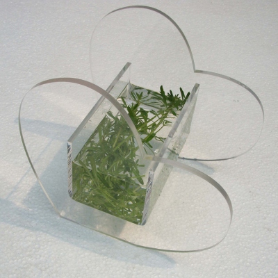 Fish tank acrylic