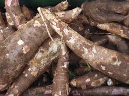 sale of cassava