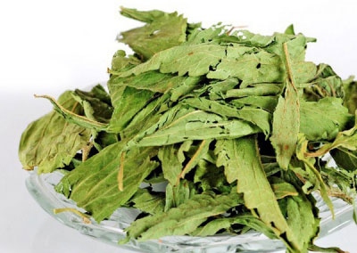 Manufacturer supply stevia extract/stevioside
