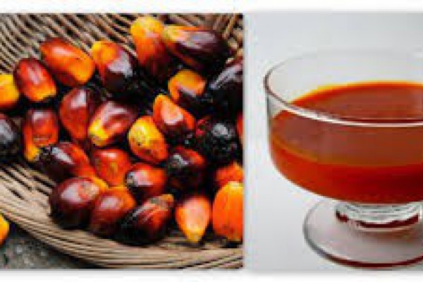 palm oil, sunflower oil, sesame oil