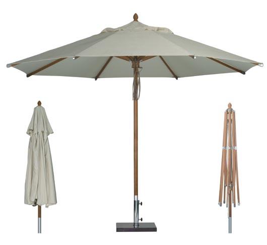 parasol