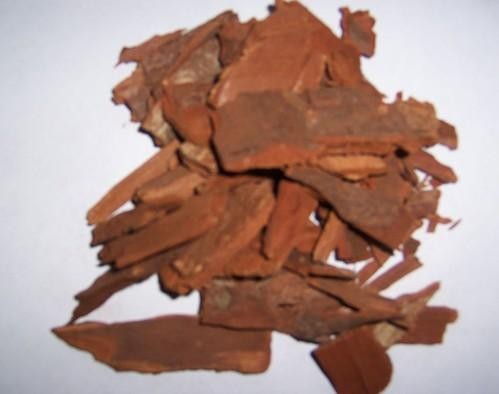 Yohimbe P.E. GMPmanufacturer supply